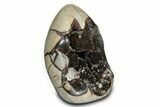 Free-Standing, Polished Septarian Geode - Black Crystals #302872-1